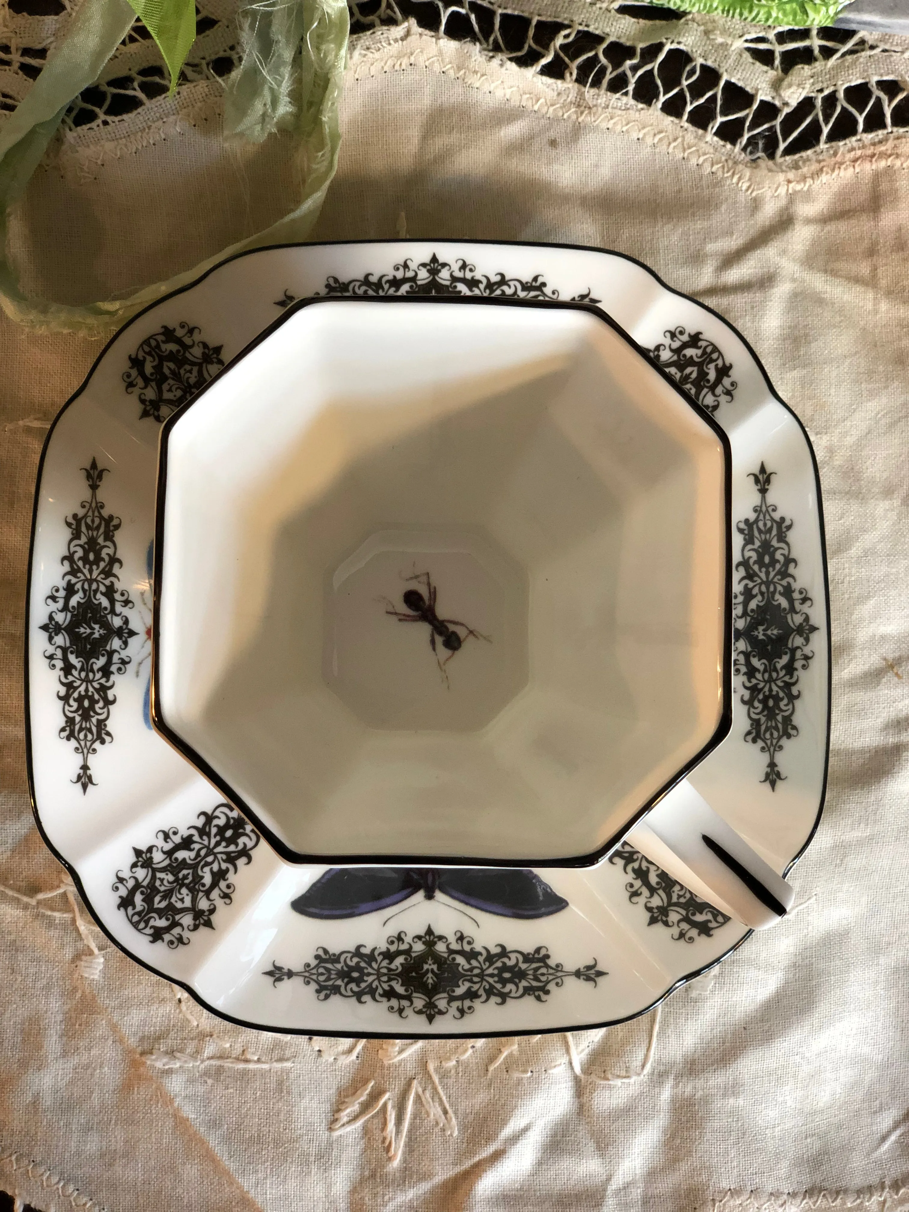 BELLE DE JOUR - Insects - Beetles & Bugs - Fine China Curiosity Teacup & Saucer Set