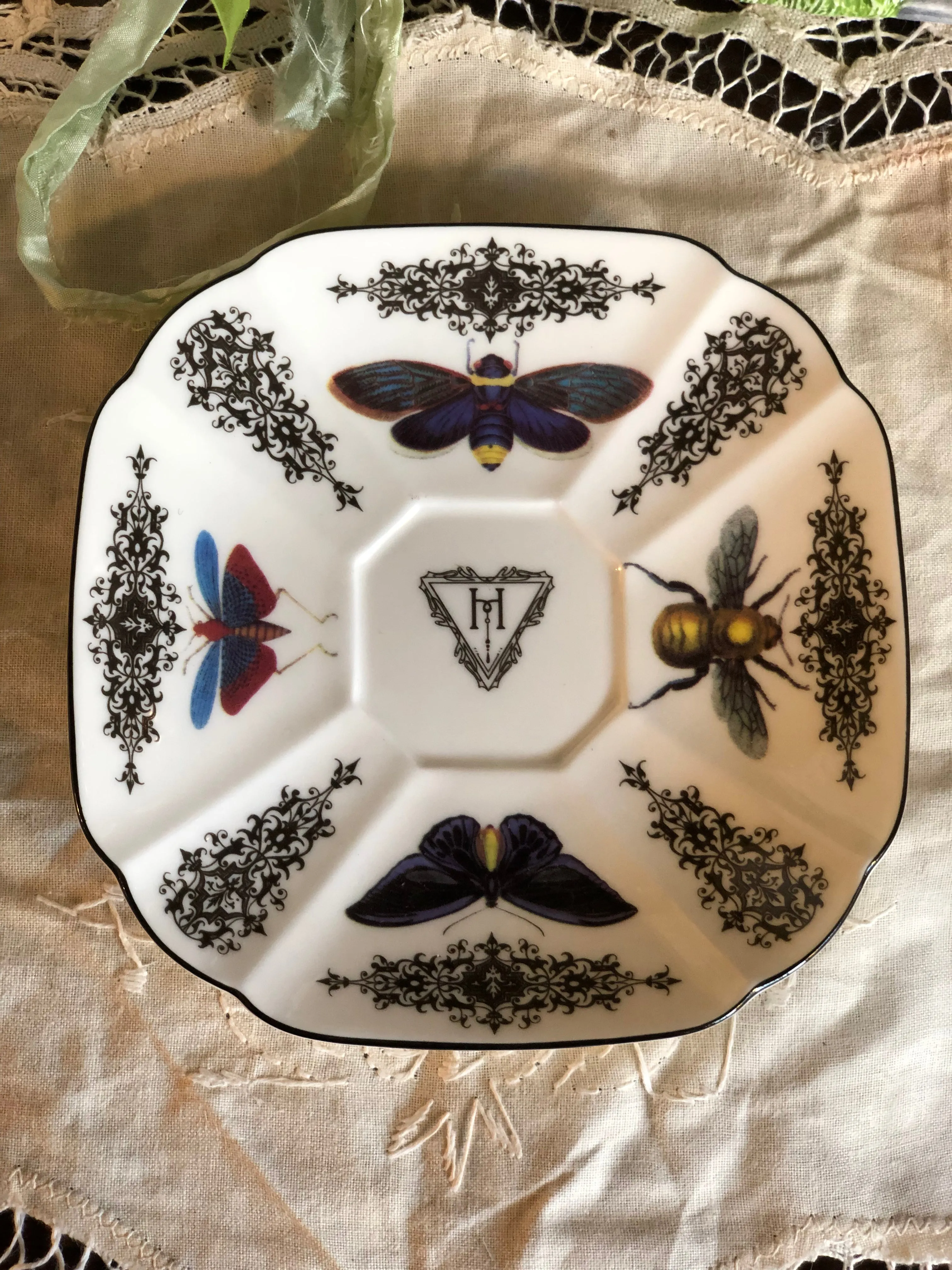 BELLE DE JOUR - Insects - Beetles & Bugs - Fine China Curiosity Teacup & Saucer Set