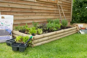 Forest Garden Bed Builder Pack