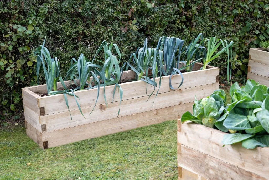 Forest Garden Caledonian Trough Raised Bed