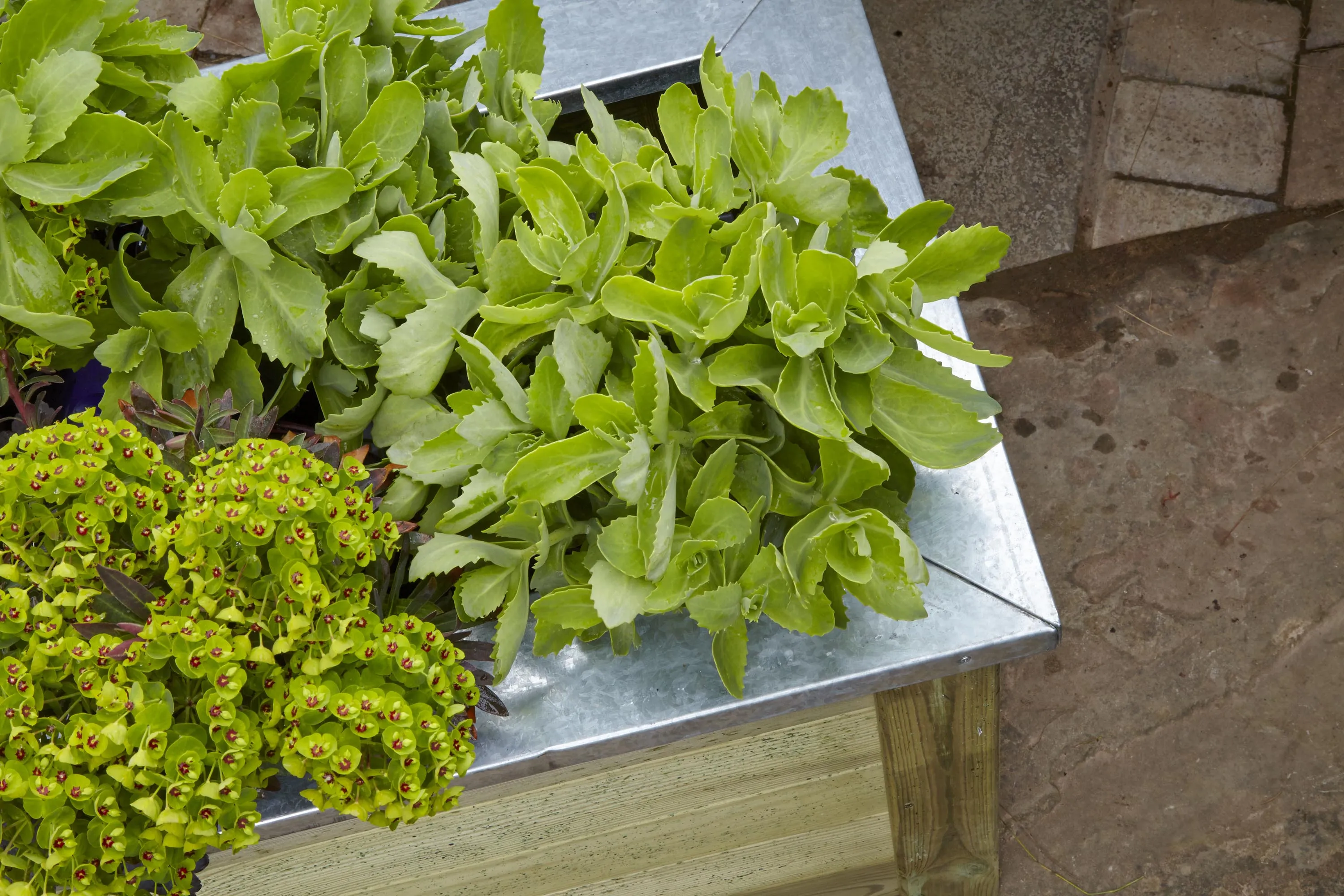 Forest Garden Cambridge Planter 150 x 50cm