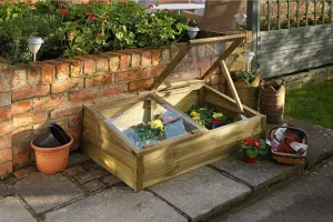 Forest Garden Large Timber Cold Frame