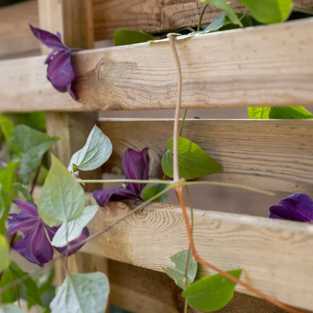 Forest Garden Living Screen Planter