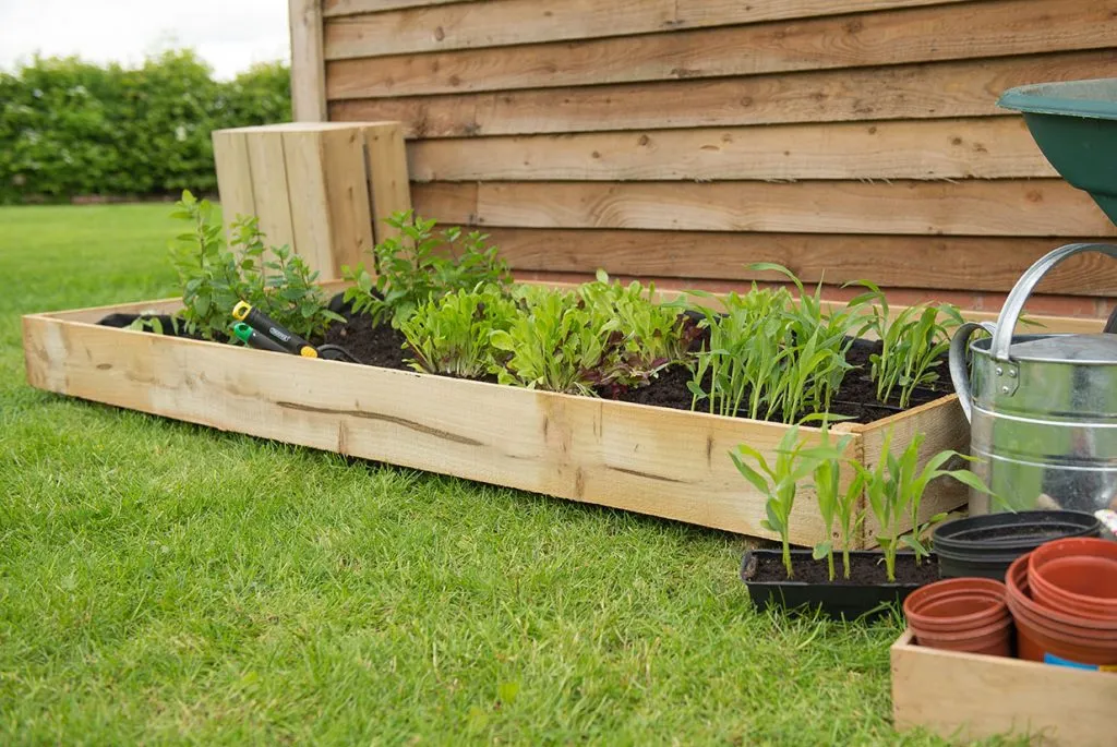 Forest Garden Standard Raised Bed
