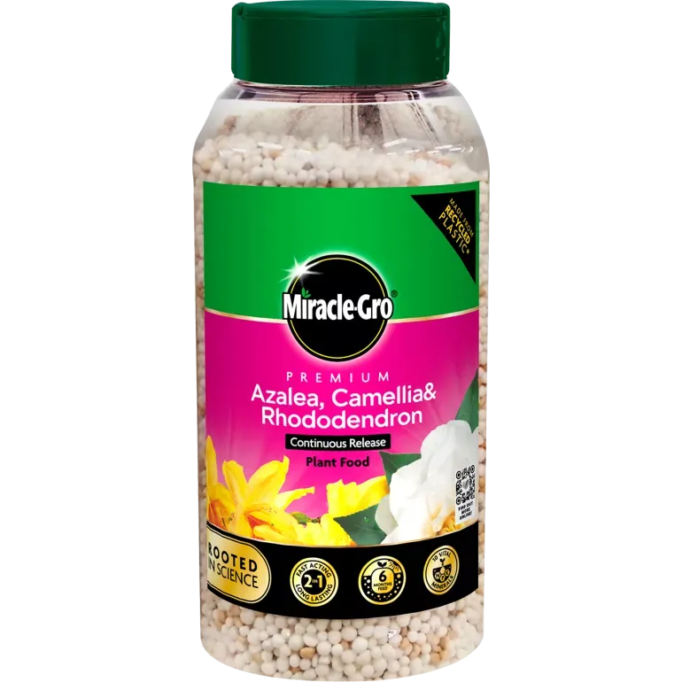 Miracle-Gro Premium Azalea, Camelia & Rhododendron Continuous Release Plant Food