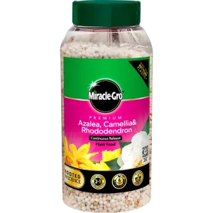 Miracle-Gro Premium Azalea, Camelia & Rhododendron Continuous Release Plant Food