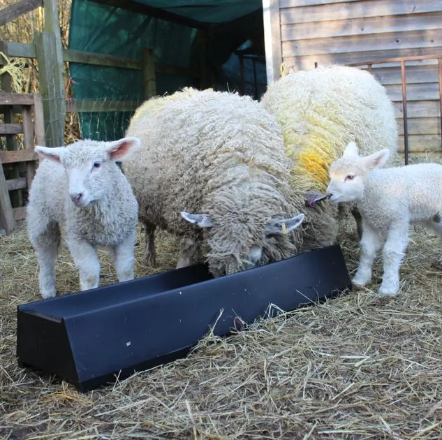 Paxton LF100 Feed Trough 1m