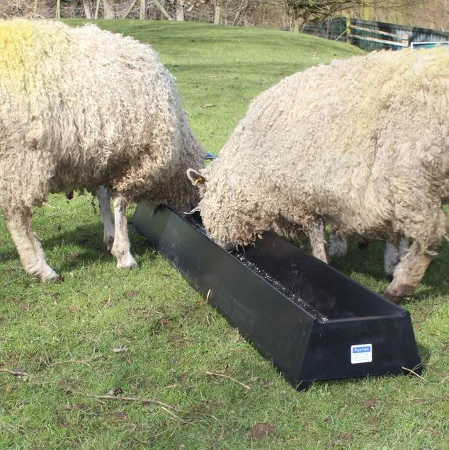 Paxton LF200 Feed Trough 2m