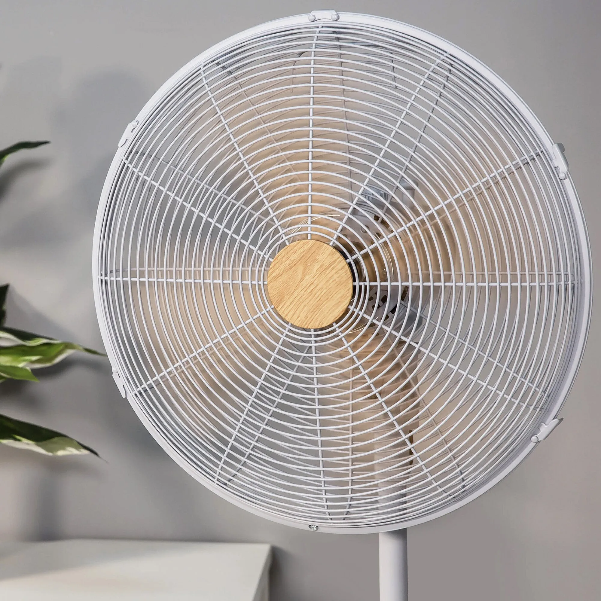 Russell Hobbs RHMPF1601WDG household fan Grey
