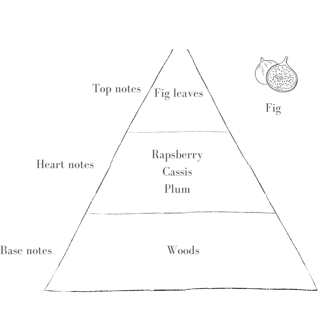 The Blush Candle - Fig