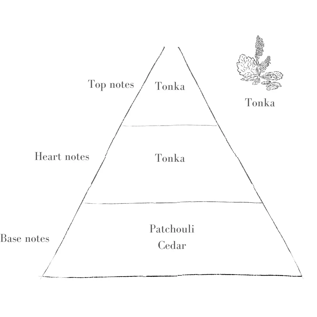 The Heather Candle - Tonka