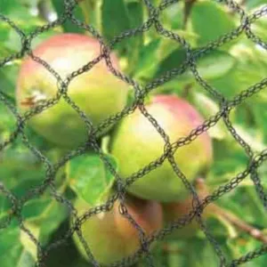 Tildenet Premium Anti Bird Netting 8m - Per Metre
